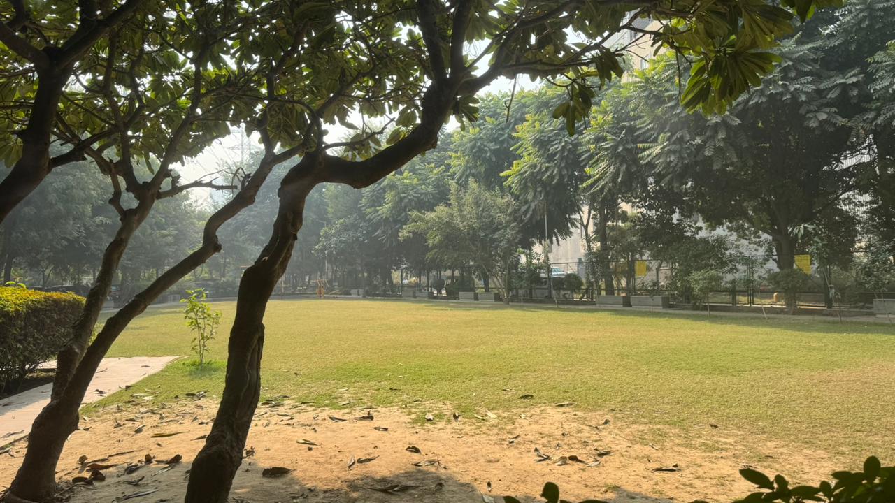 Lush Garden Lawn & Grounds